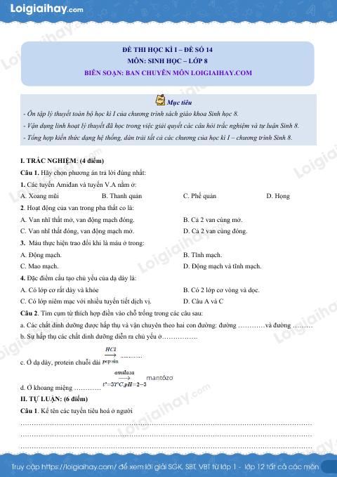 Đề số 14 - Đề kiểm tra học kì 1 - Sinh học 8
